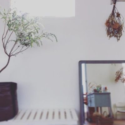 出典元：Instagram