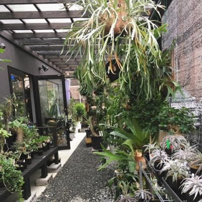 出典元：Instagram