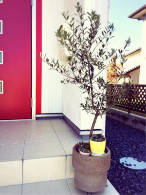 Photo by kgnさん@GreenSnap