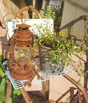 Photo by ゆきさちさん@GreenSnap 