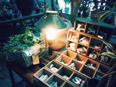 Photo by mother leafさん@GreenSnap