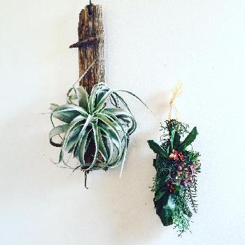 1479709696572_thum_1479709696146_thum_tmp