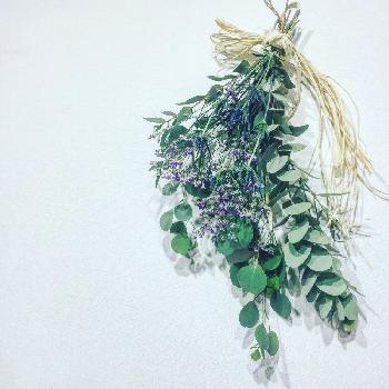 1479559454012_thum_1479559453422_thum_tmp