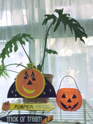 Photo by aimsさん@GreenSnap