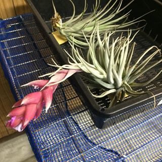 出典元：Instagram 