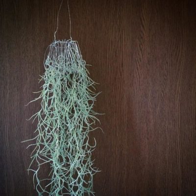 Photo by teddy75さん@GreenSnap