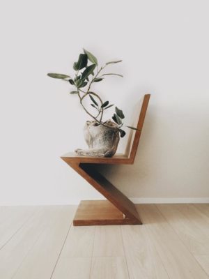 Photo by furu＊さん@GreenSnap