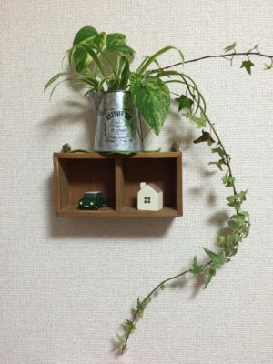 Photo by masami1203さん@GreenSnap