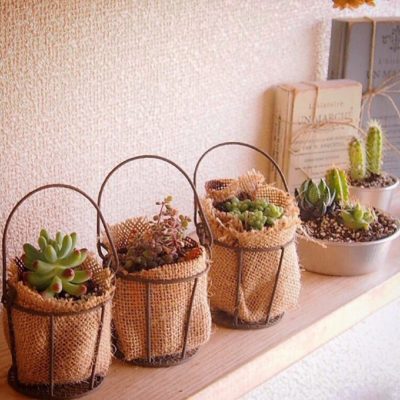 Photo by kaori0914さん@GreenSnap