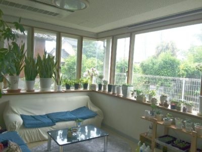 Photo by SHIHOさん@GreenSnap 