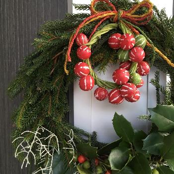 1481458400184_thum_1481458399461_thum_tmp