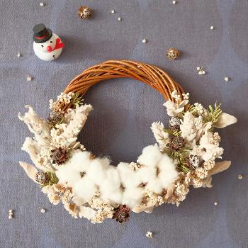 1481169746053_thum_1481169745595_thum_sample