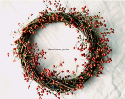 スクリーンショット 2016-12-16 11.09.26