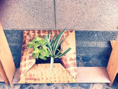 Photo by piment rougeさん@GreenSnap