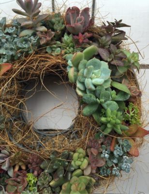 Photo by nako3さん@GreenSnap