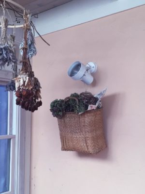 Photo by ちゃいさん@GreenSnap