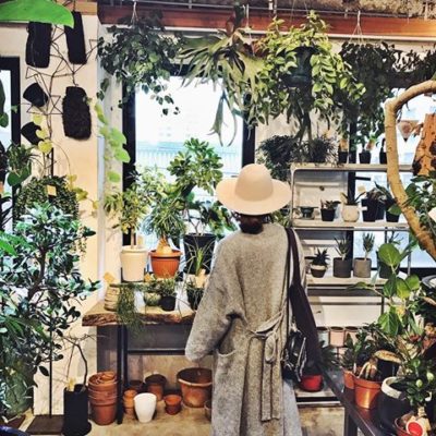 出典元：Instagram