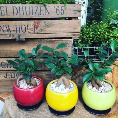 出典元：Instagram