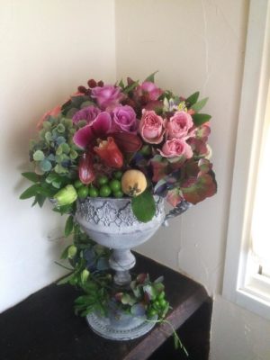 Photo by nutsさん@GreenSnap