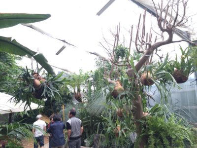 Photo by cphzさん@GreenSnap