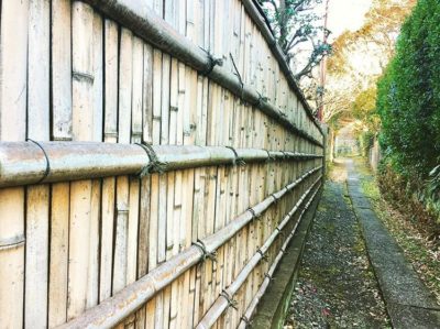 出典元：Instagram