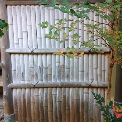 出典元：Instagram