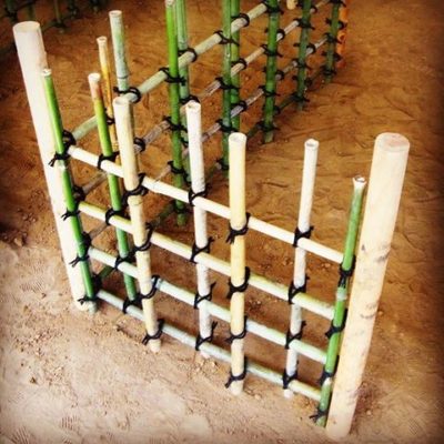 出典元：Instagram