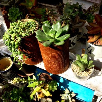 Photo by rematさん@GreenSnap