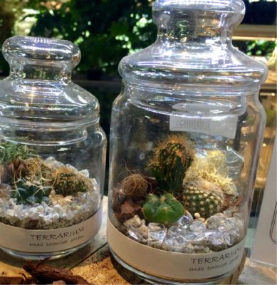 Photo by Kumanoteさん@GreenSnap