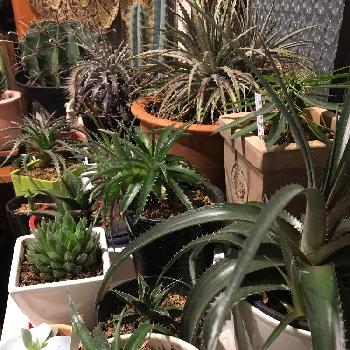 Photo by きゃっぽんさん