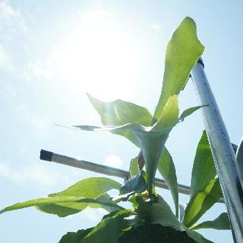 Photo by tiger11さん