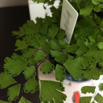 Photo by まぁささん