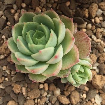 Photo by たらこまるさん