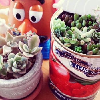 Photo by あーちゃん。さん