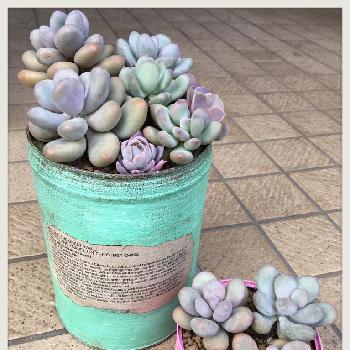 Photo by cherry*さんさん