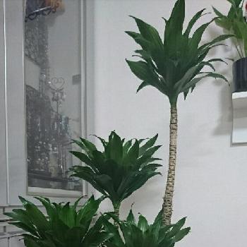 Photo by 莉愛ママさん