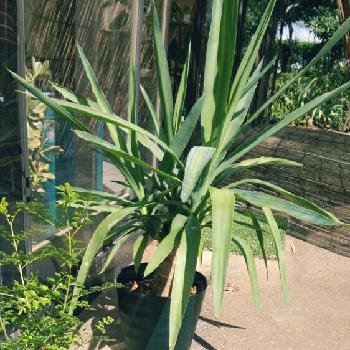 Photo by Erikaさん