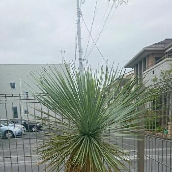 Photo by かいと力士さん