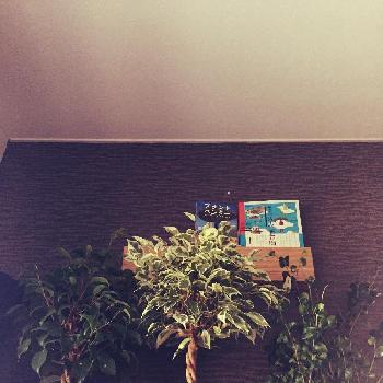 Photo by たろうさん