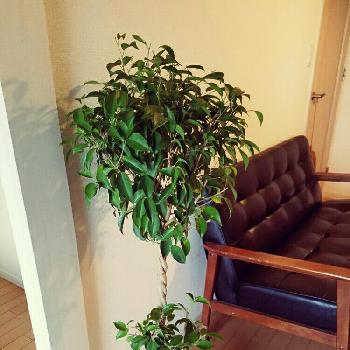 Photo by Gypsyさん