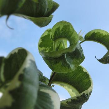 Photo by Je suis…さん