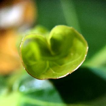 Photo by HAMMERさん