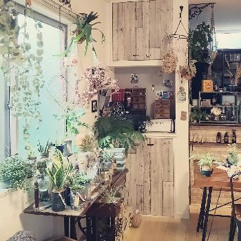 Photo by -mai-さん