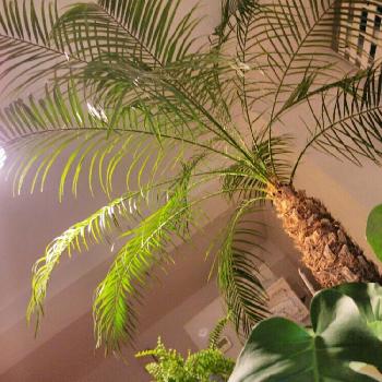 Photo by Oishi Saiko（Gallery編み魔女）さん