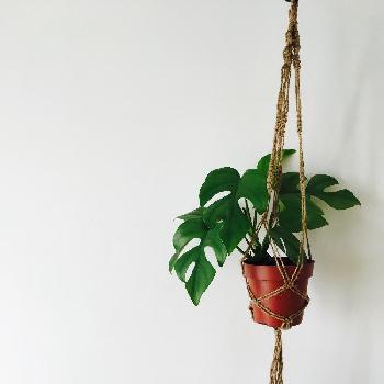 Photo by まいさん