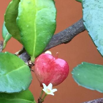 Photo by なみさん