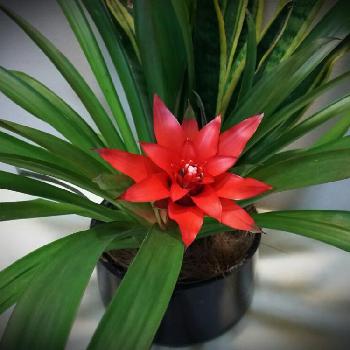 Photo by ふぁんきーさん