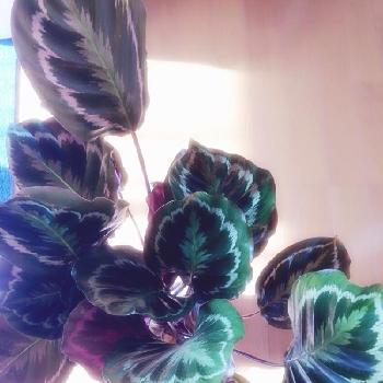 Photo by vividさん