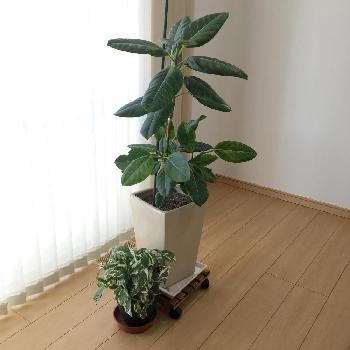 Photo by 美月さん