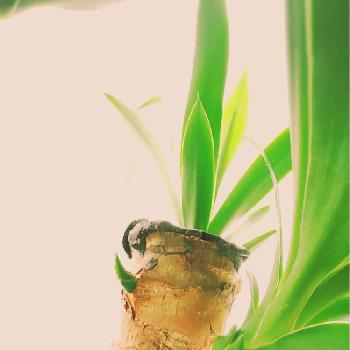 Photo by spicyさん